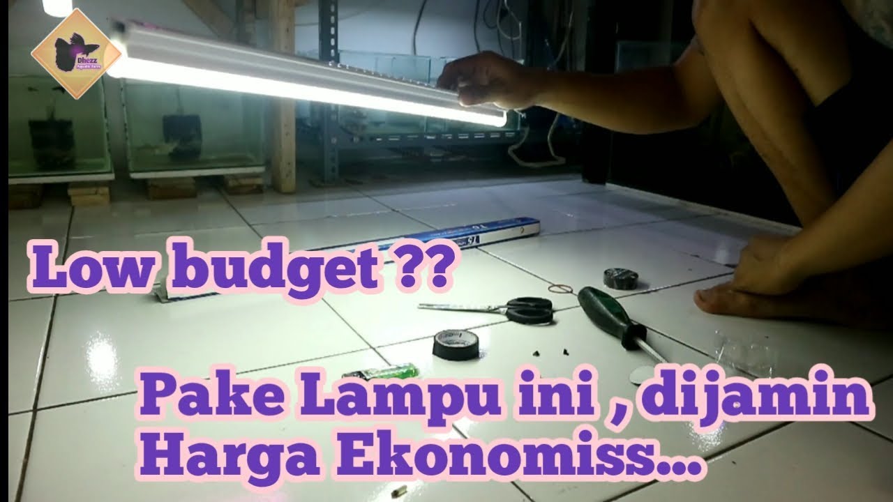 Lampu LED Low budget Buat Aquarium