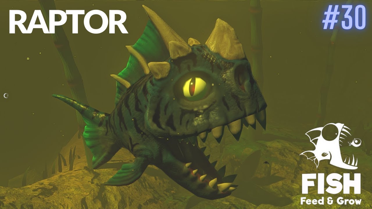 Feed And Grow Fish : Raptor