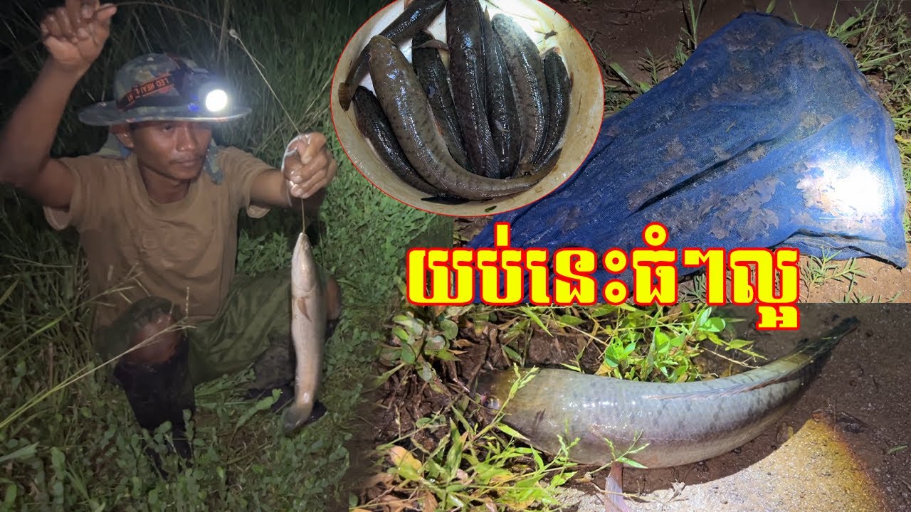យប់នេះ ធំៗល្អណាស់ ពេញលេងហើយប្លង់ថ្មី នុយកូនក្អាត់