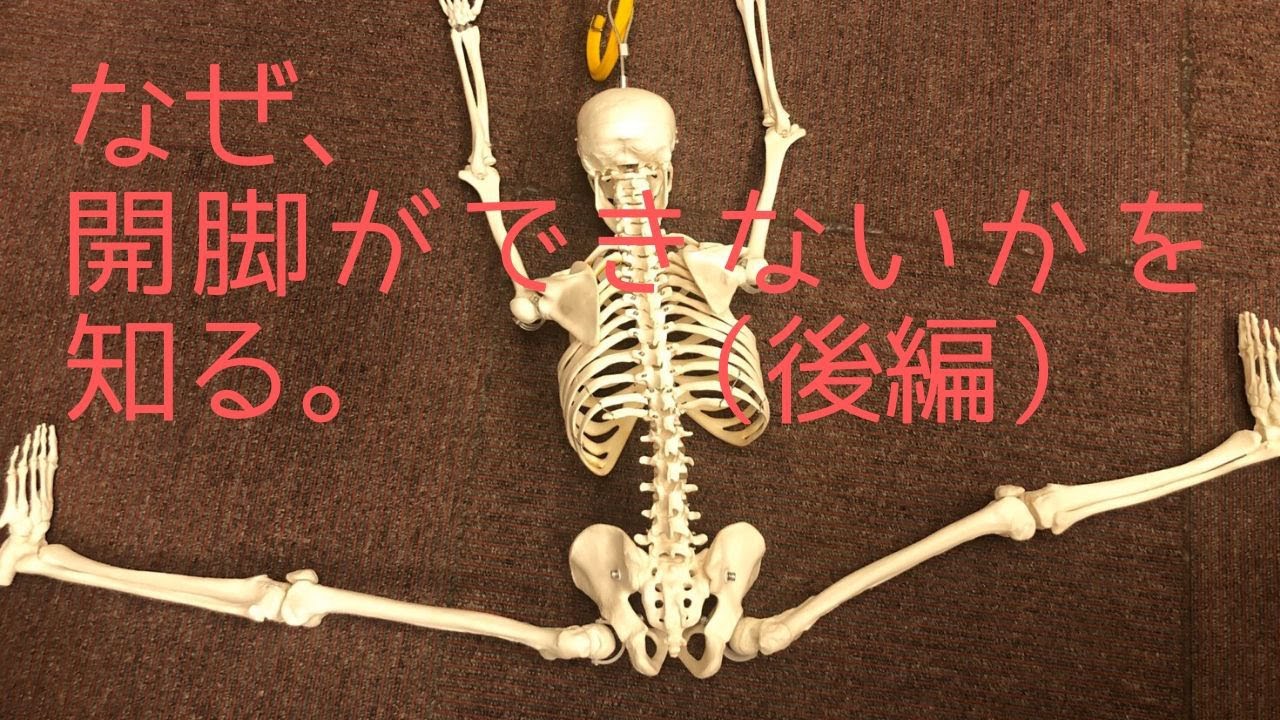 なぜ、開脚ができないかを知る。（後編）