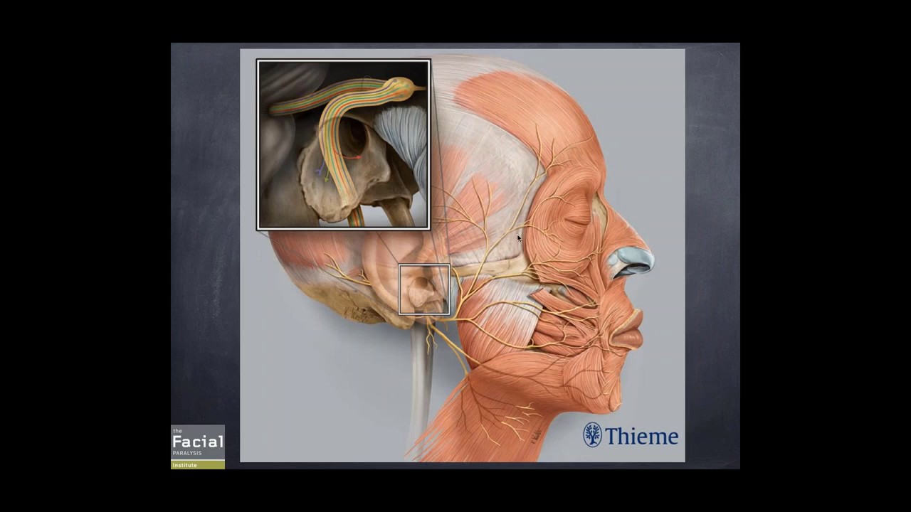Botox Options for Facial Paralysis with Dr. Babak Azizzadeh
