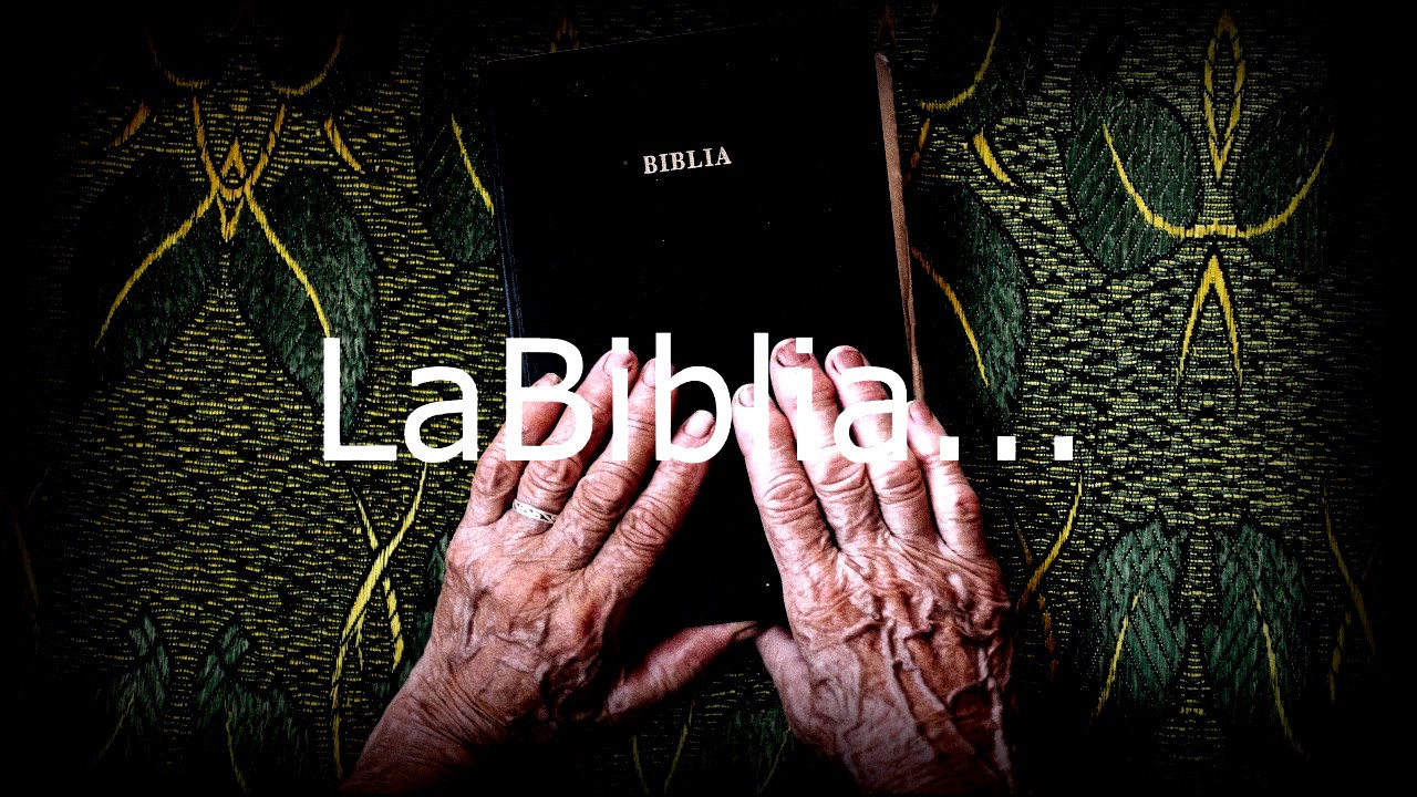 Curiosidades de La Biblia - AcademicaMente