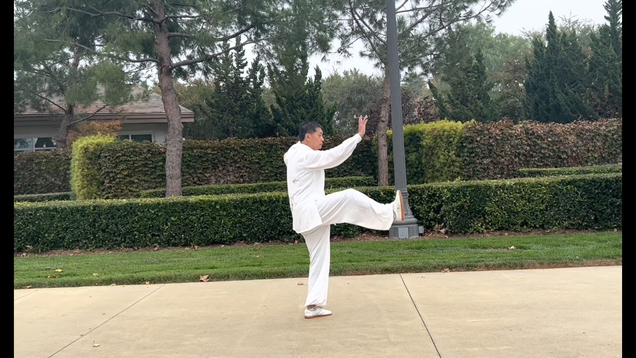 杨式太极拳37式-李伟老师行云太极社  Yang&rsquo;s Taijiquan 37 Form-- Master Wei Li, Xingyun Tai Chi Club