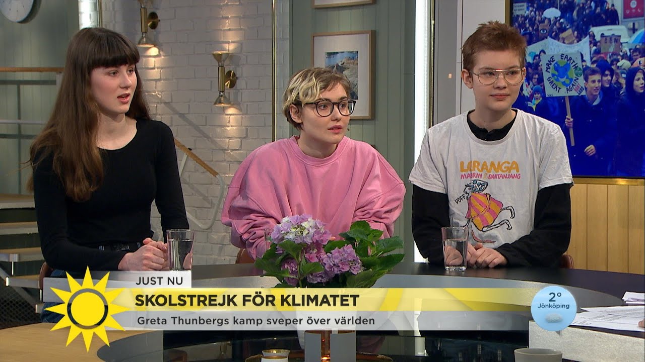 Därför skolstrejkar de för klimatet: ”Som det ser ut nu har vi ingen framtid a… - Nyhetsmorgon (TV4)