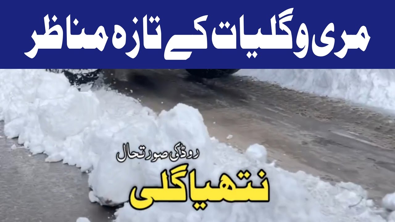 Nathia Gali Galiyat Today | Ayubia Road Update | #Murreeupdate #Weathercondition #Galiyatroad