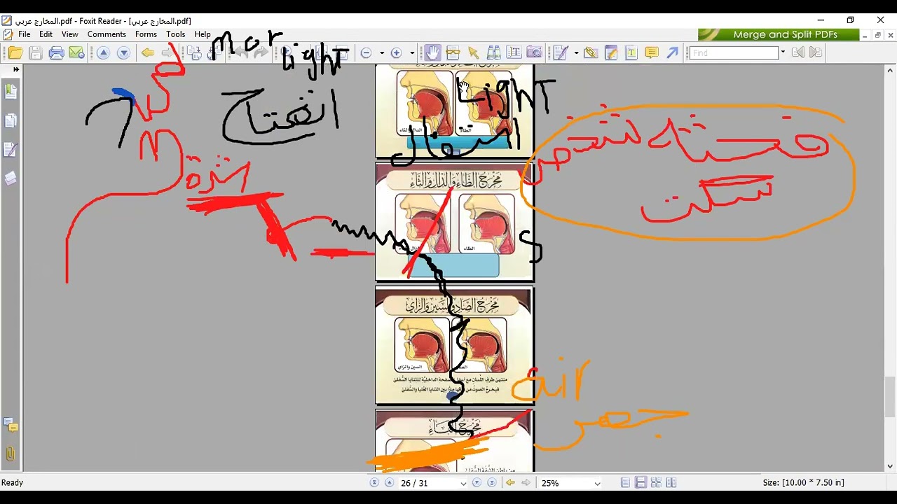 شرح مخرج  الدال
