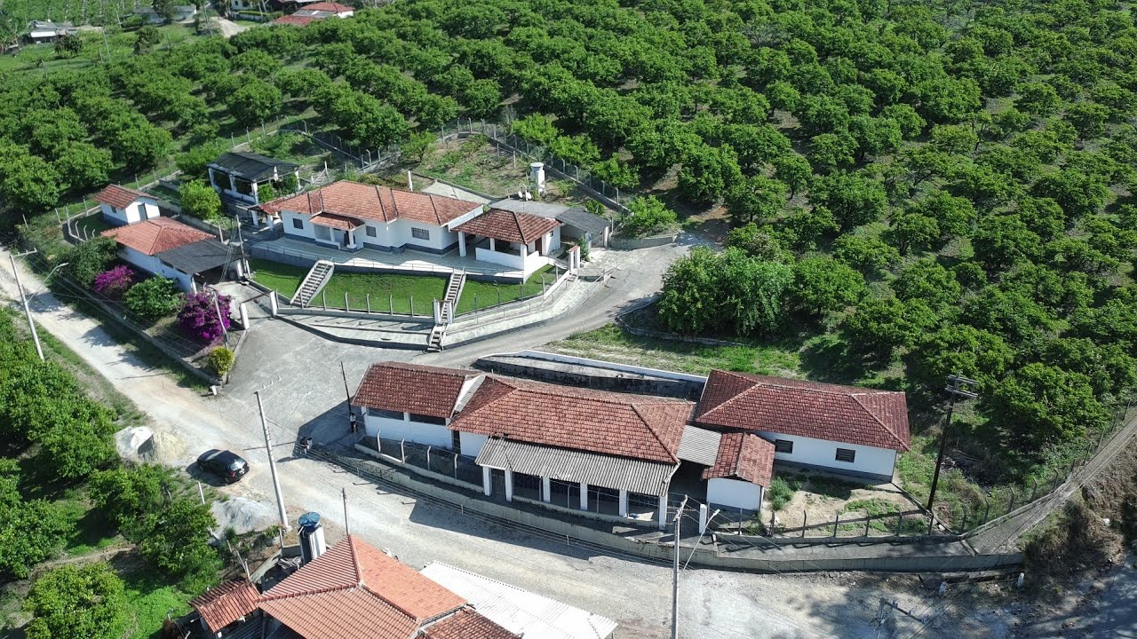 Sítio com 1600 pés de caqui, em Biritiba Mirim, R$ 2.400.000 são 6 alqueires!