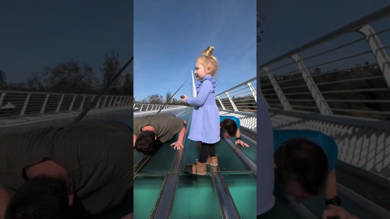 Almost a new record for Devon, but Zoe attacked! 26.5 Pushups in 1 Minute! Day 163 Live