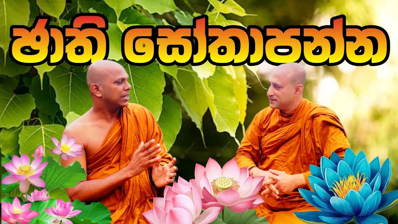 🌺🙏ජාති සෝතාපන්න පිළිබඳ වටිනා ධර්ම සාකච්ඡාවක් | රාහුල හිමි 🙏🪷 