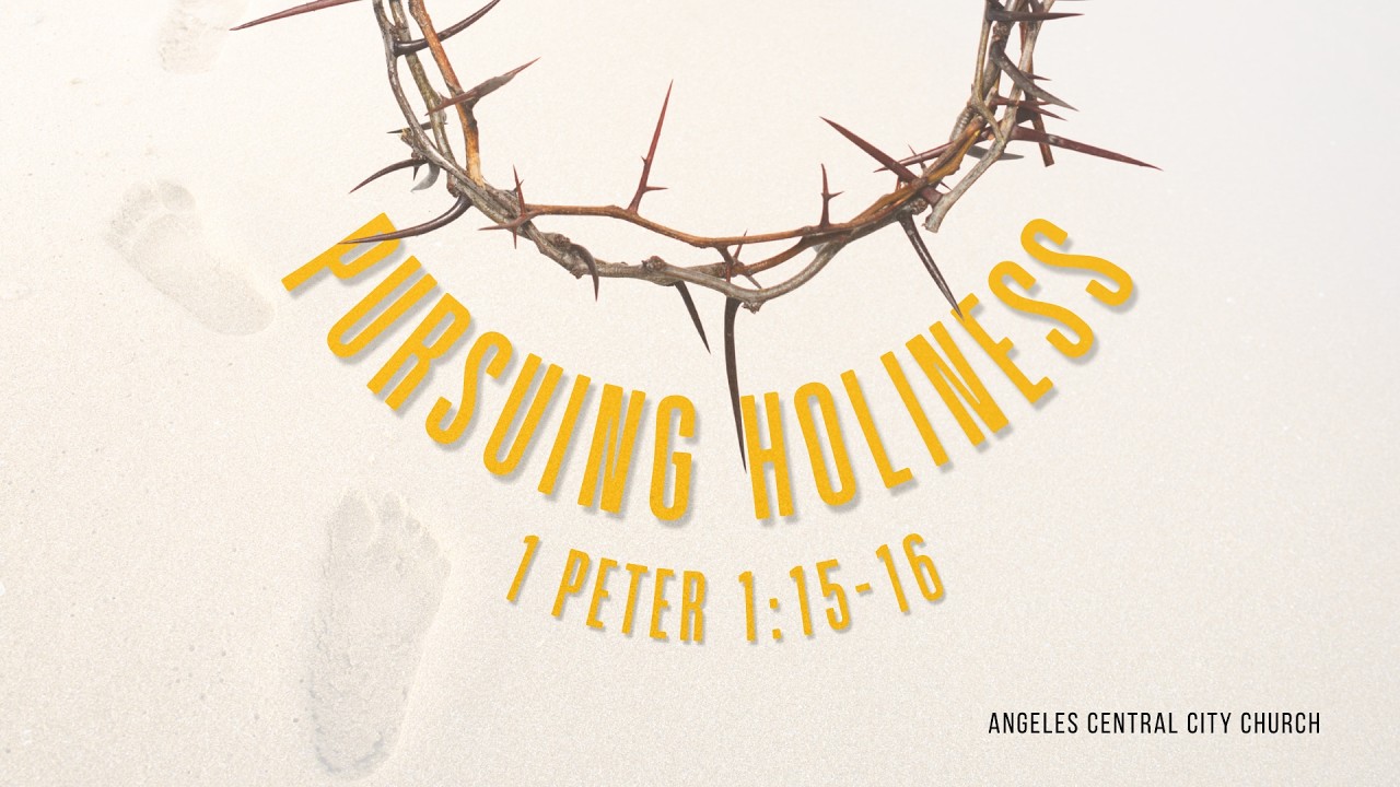 Pursuing Holiness