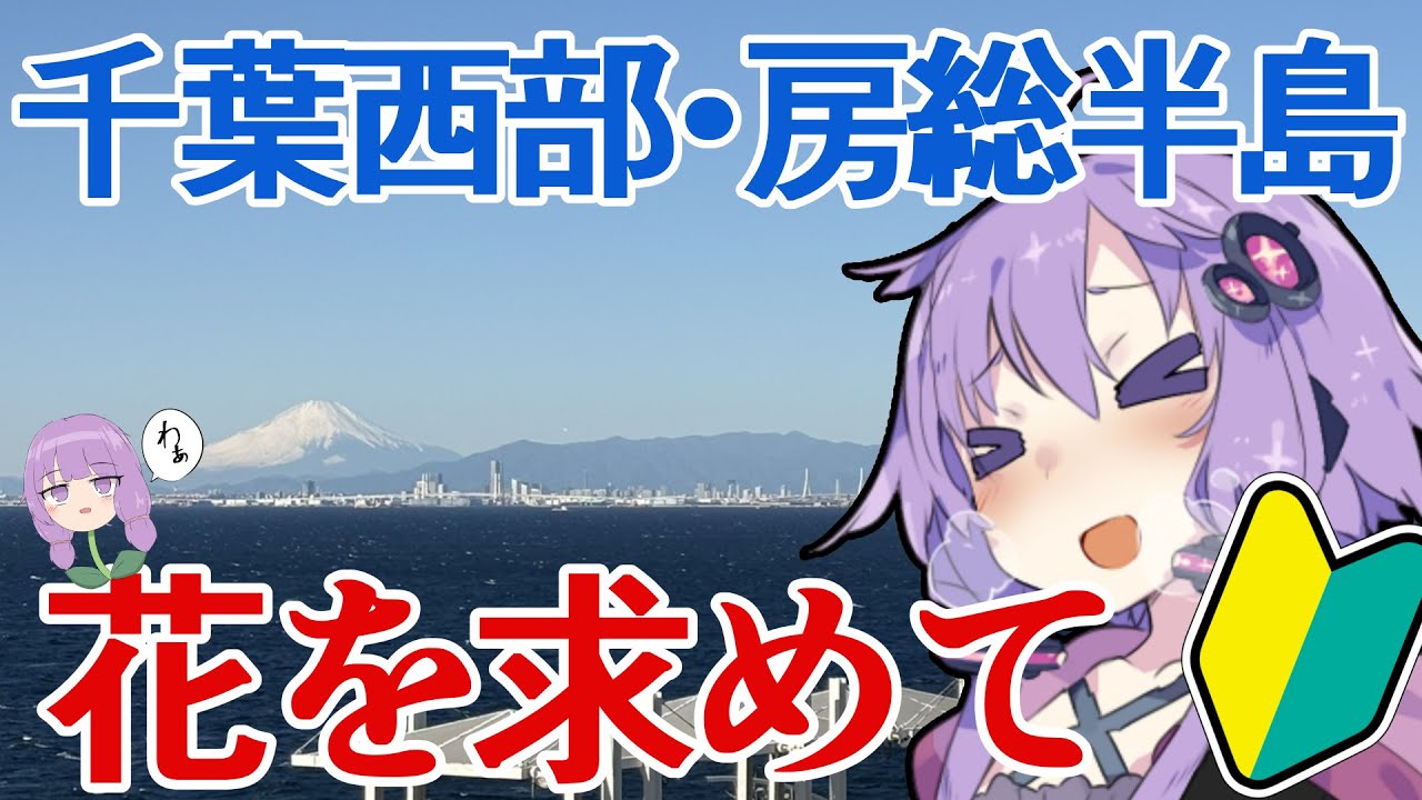 【VOICEROID車載】初心者ゆかりは冬でも花が見たかった【千葉・房総半島ツーリング】