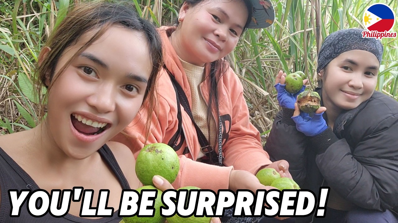 🇵🇭 Homestead Construction- Installing Walls, More Painting + An Amazing Journey To Papa's Farm!