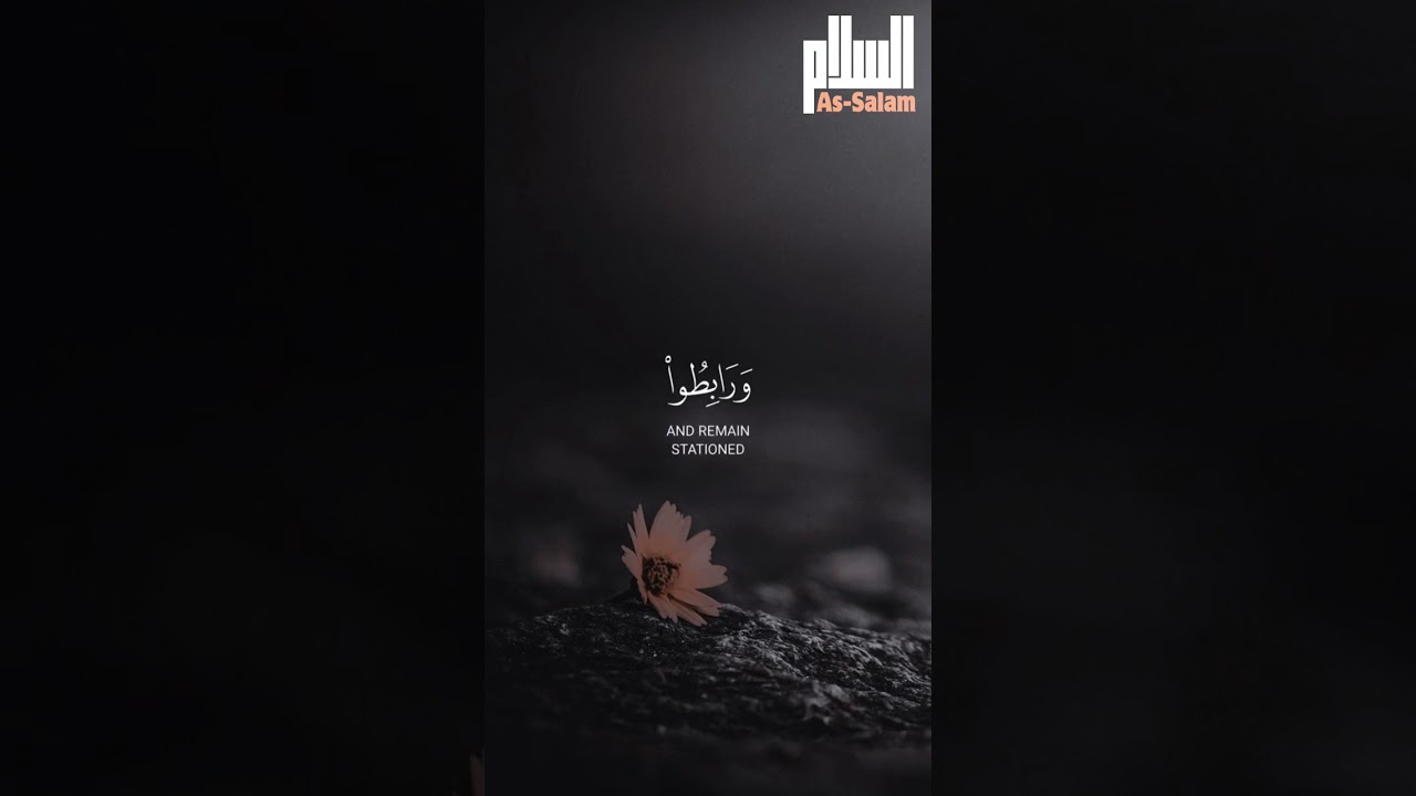 Quran Recitation