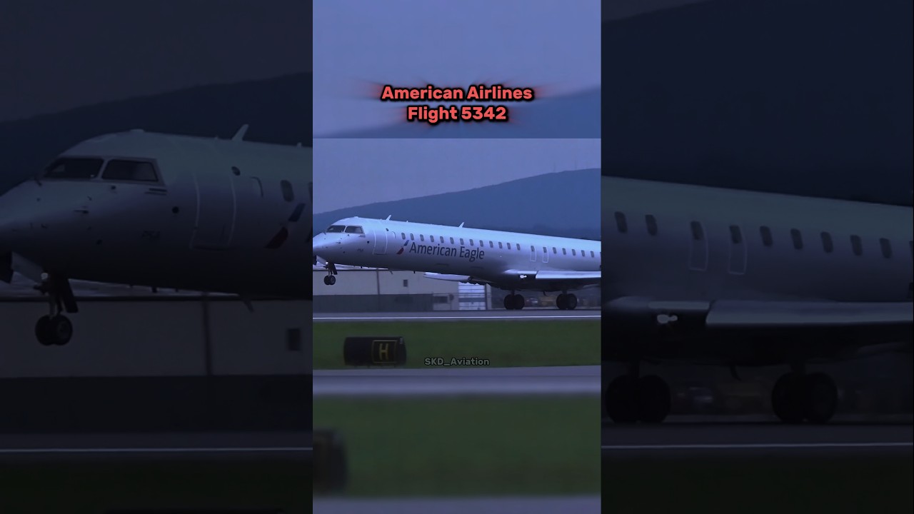 What happened to American Airlines flight 5342 #aviation #pilot #air #crash #landing #plane #avgeek