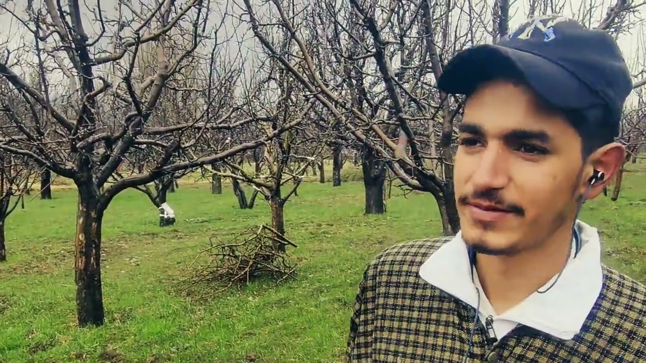 DAY/28 {..Beautiful View of Kashmir Apple Town Shopian A Small Village With Many Apple Trees..}