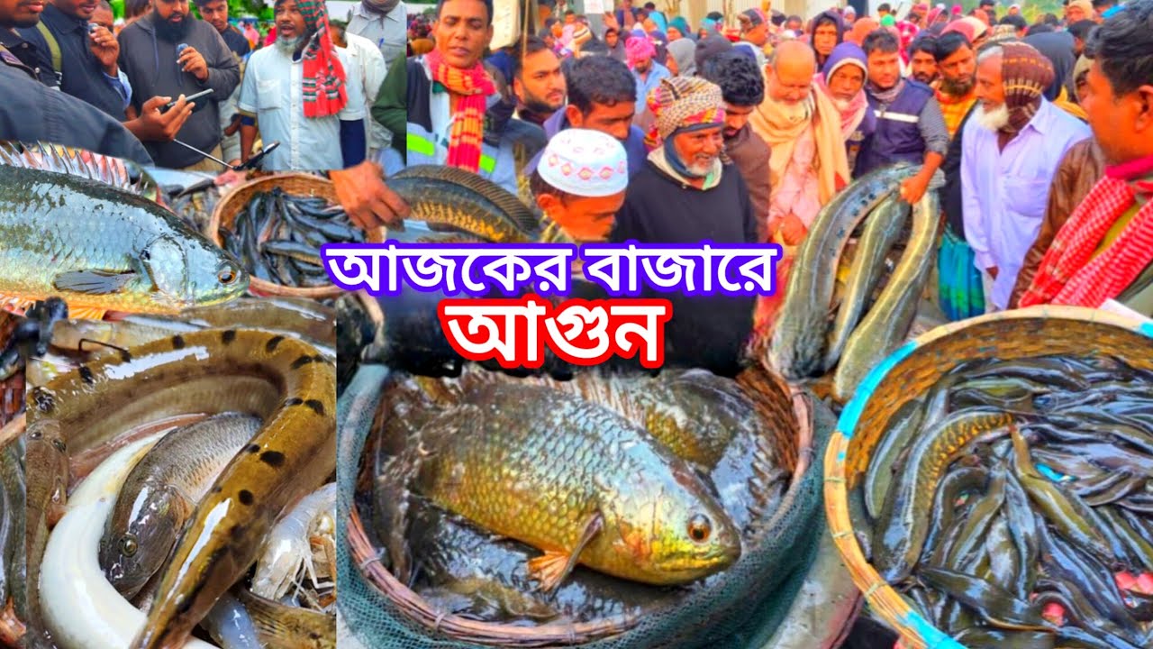আড়িয়াল বিলের দেশি মাছ কিনতে মানুষের ঢল!