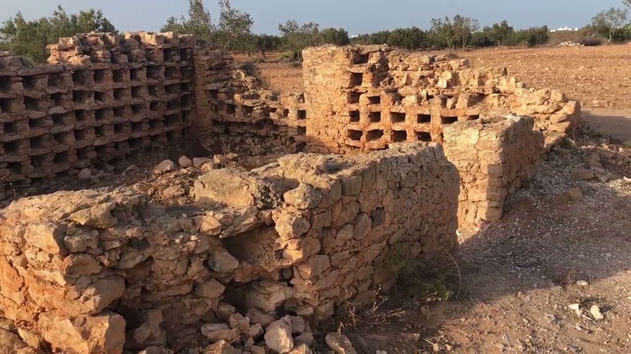 Hinchir Kalakh, Zarzis