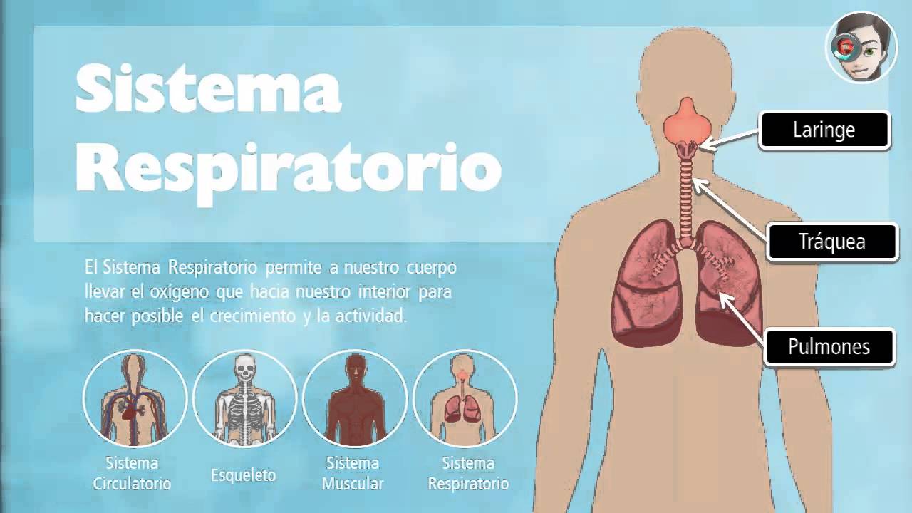 Power Point a Interactivo