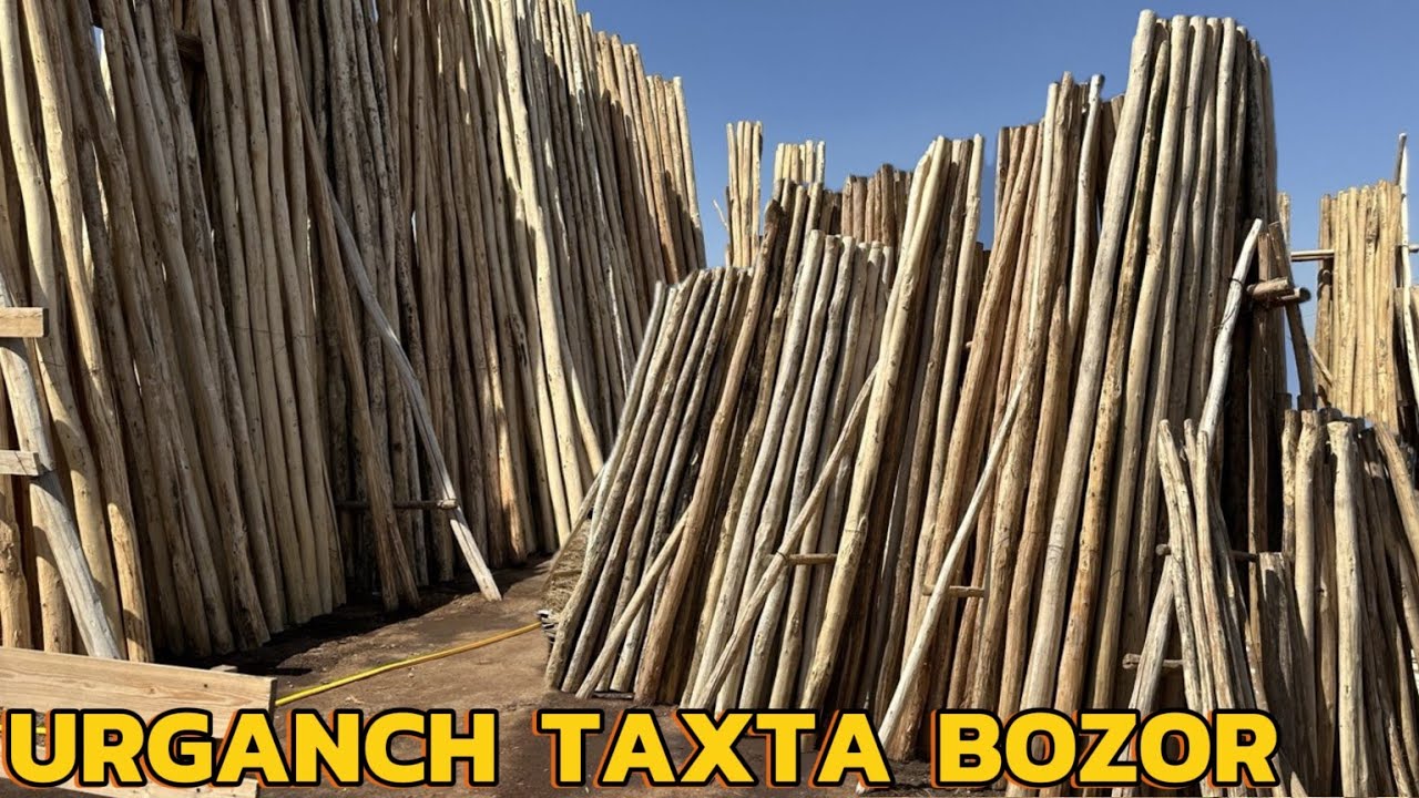 URGANCH TAXTA BOZOR 🔥 QURBON XAYIT MUNOSABATI BILAN ATAGAN EXSONLARIMIZ BOR