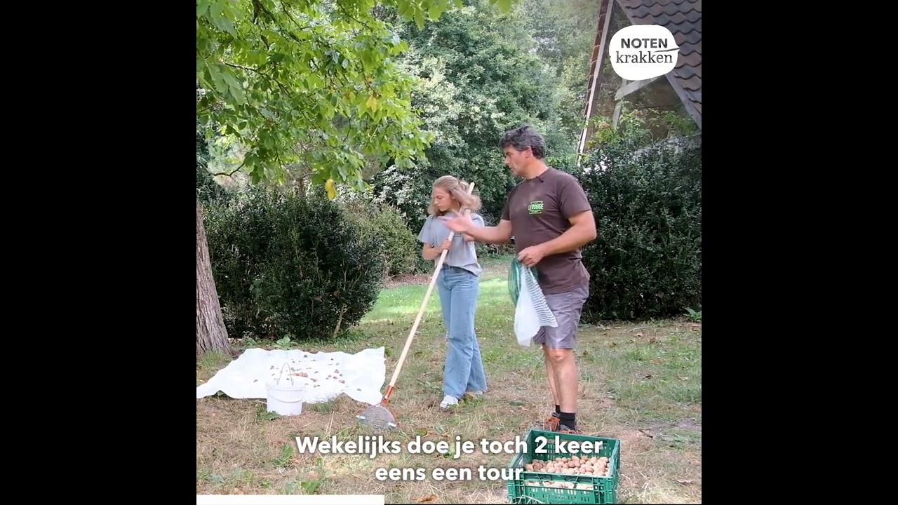 De Notenkrakken - Noten rapen doe je zo!