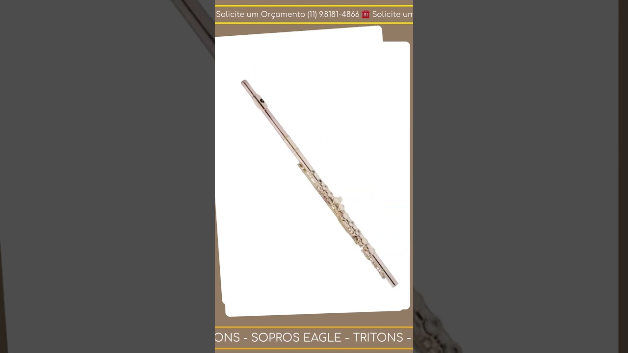Instrumentos de Sopro Eagle