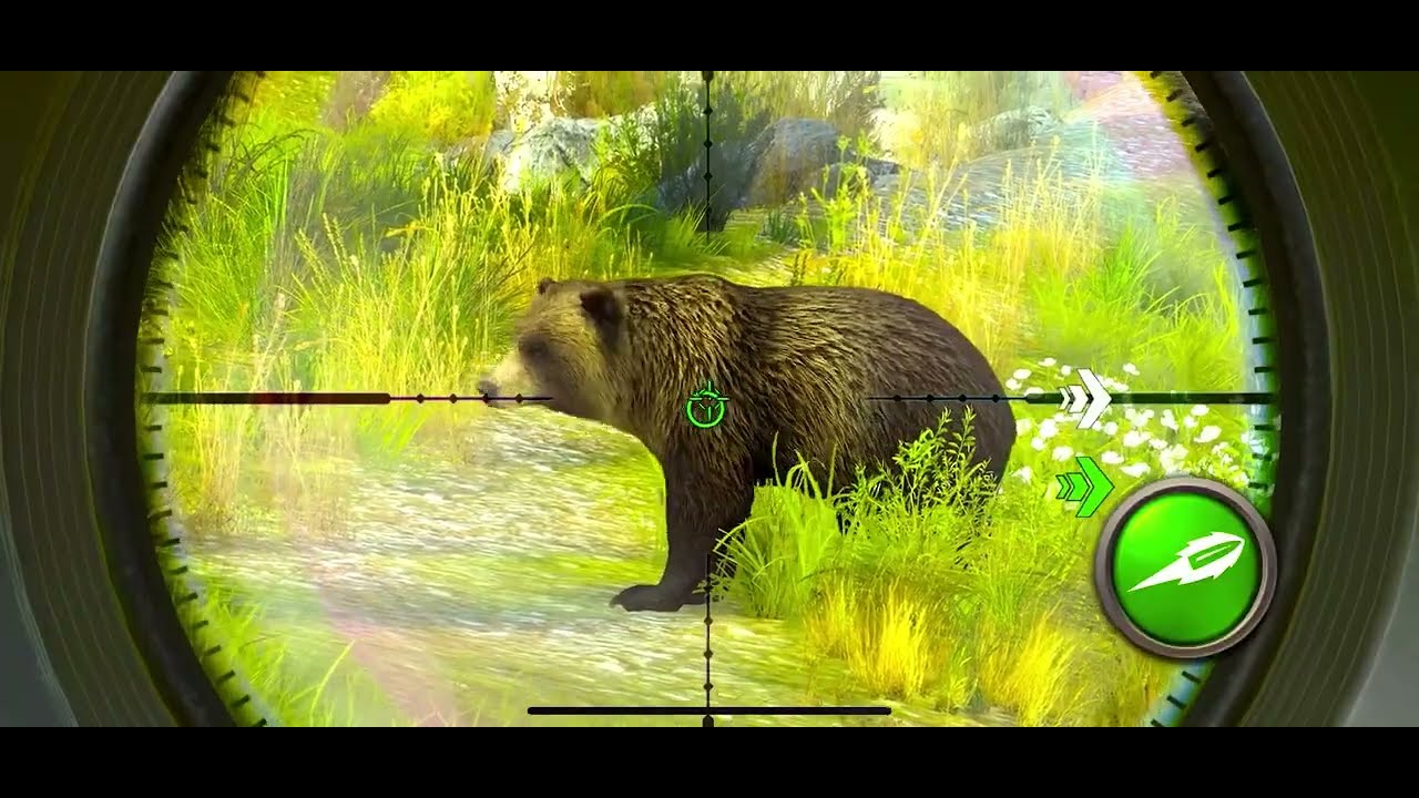 4K Hunting Clash Weapons 💯 Hunting point Good Game play Hunting animals 