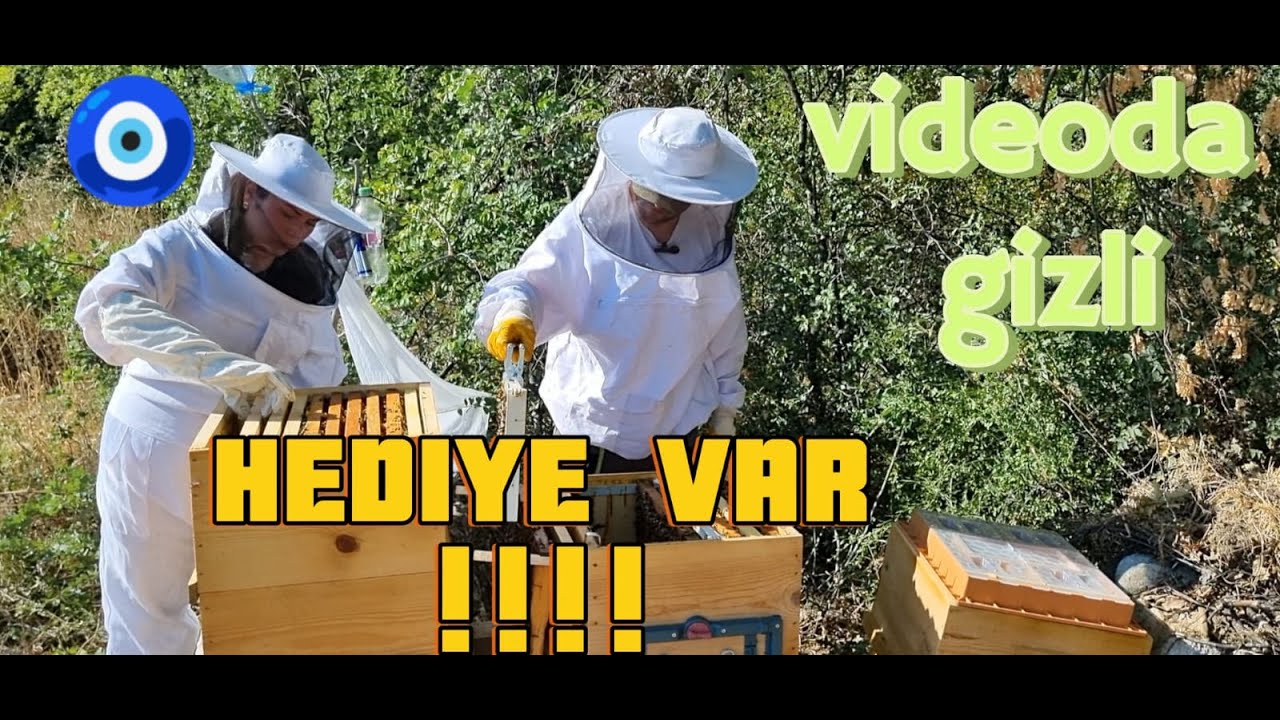 GENEL ARI KONTROLÜ(VİDEODA HEDİYE GİZLİ) #ANADOLUARISI #beekeeper #arıcılık #bee #QUEENBEE #ARIBÖLME