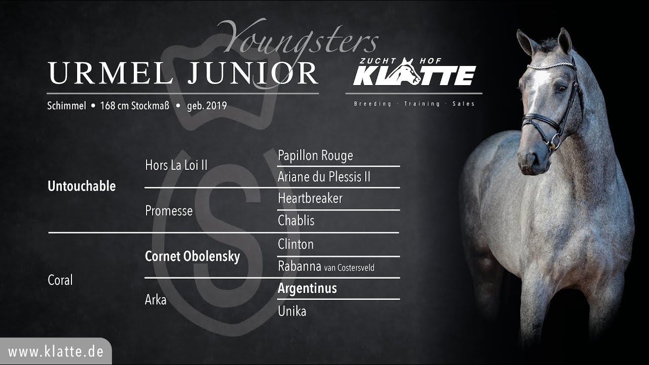 URMEL JUNIOR v. Untouchable x Cornet Obolensky x Argentinus - Stallionshow 2022