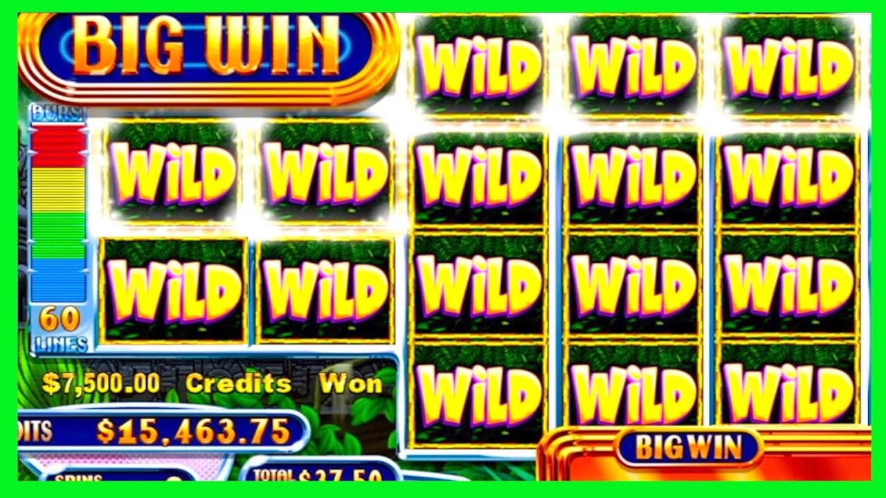 ★★JACKPOT HANDPAY★★$37 BETS★★JUNGLE WILD 2 HIGH LIMIT SLOT MACHINE BUENO DINERO MUSEUM SLOTS WMS