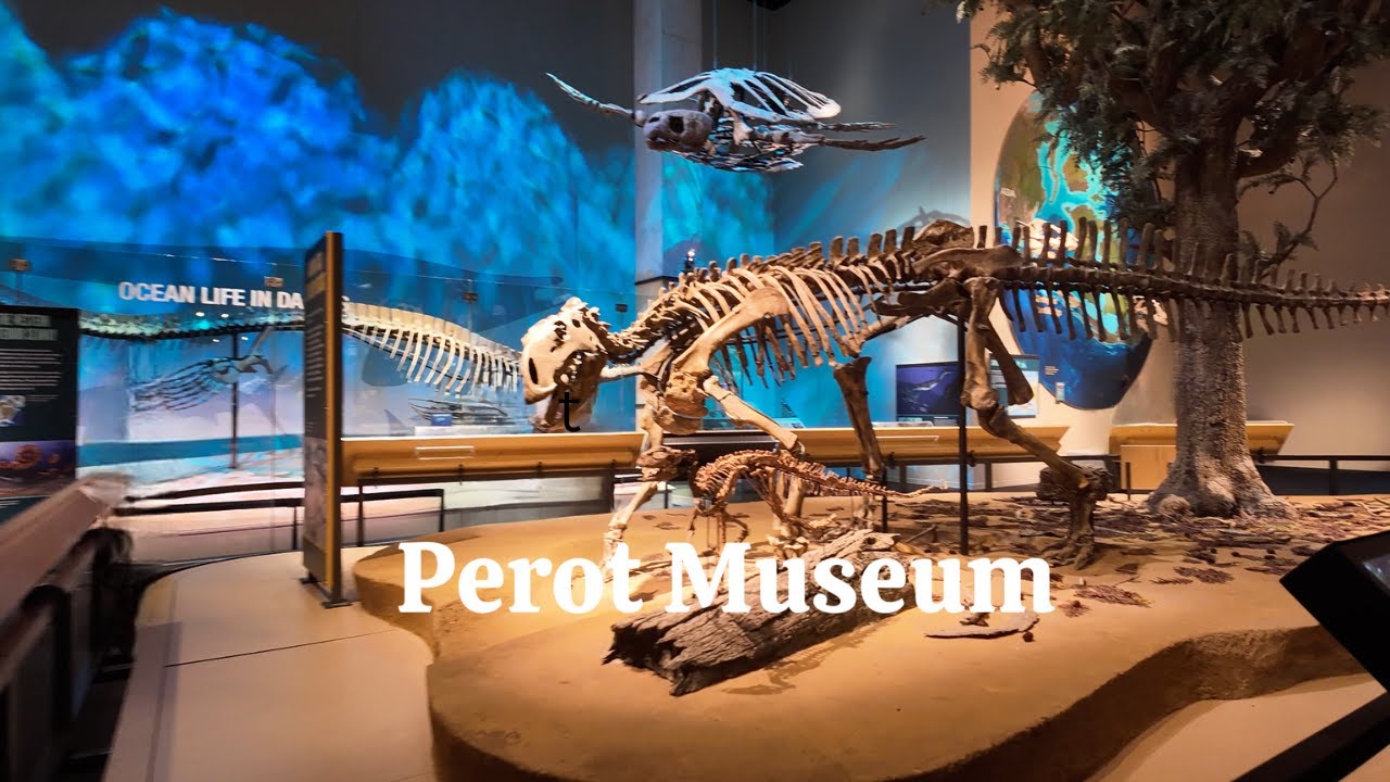 Dallas Perot Museum Of Nature And Science ,Texas | Cinematic Travel Reise Video