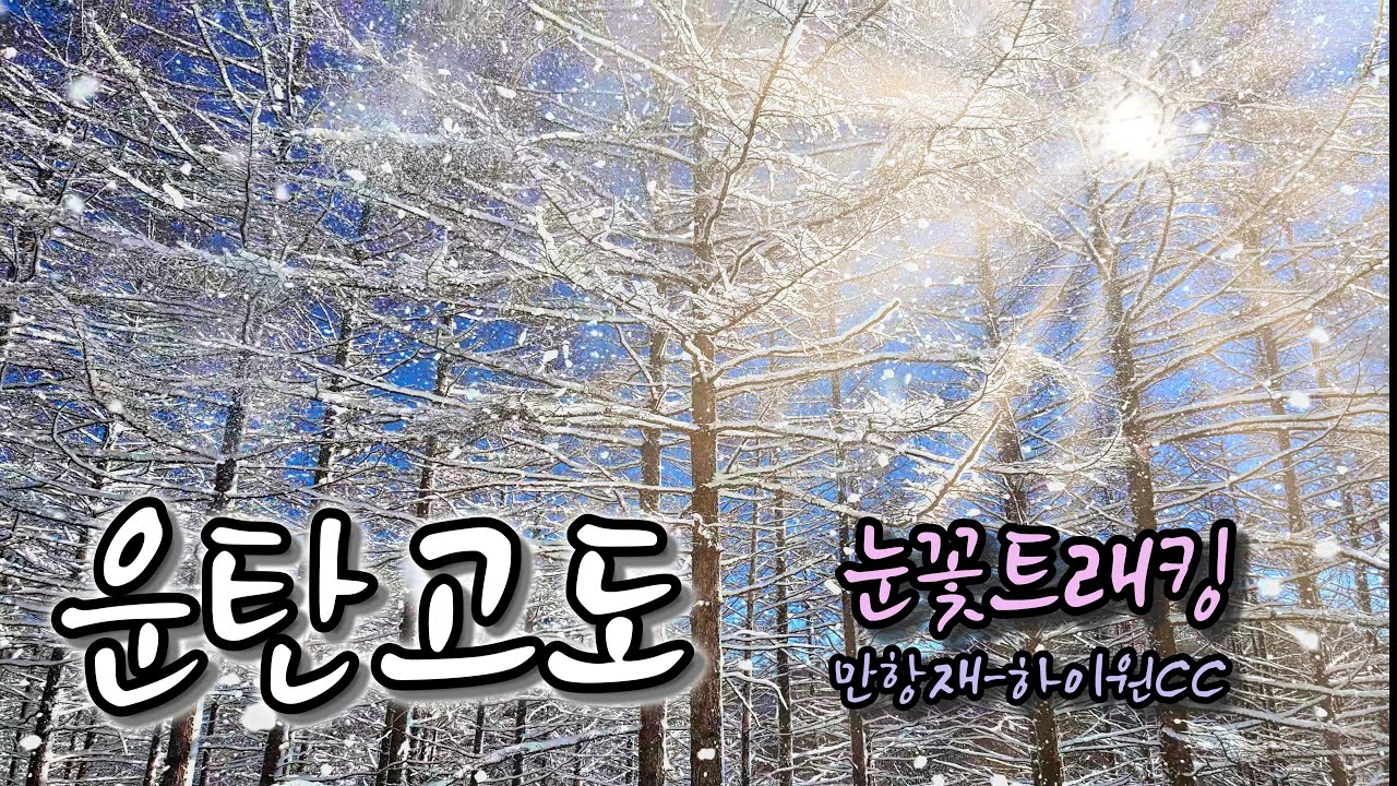 운탄고도 눈꽃트래킹｜만항재-하이원CC｜운탄고도 5길