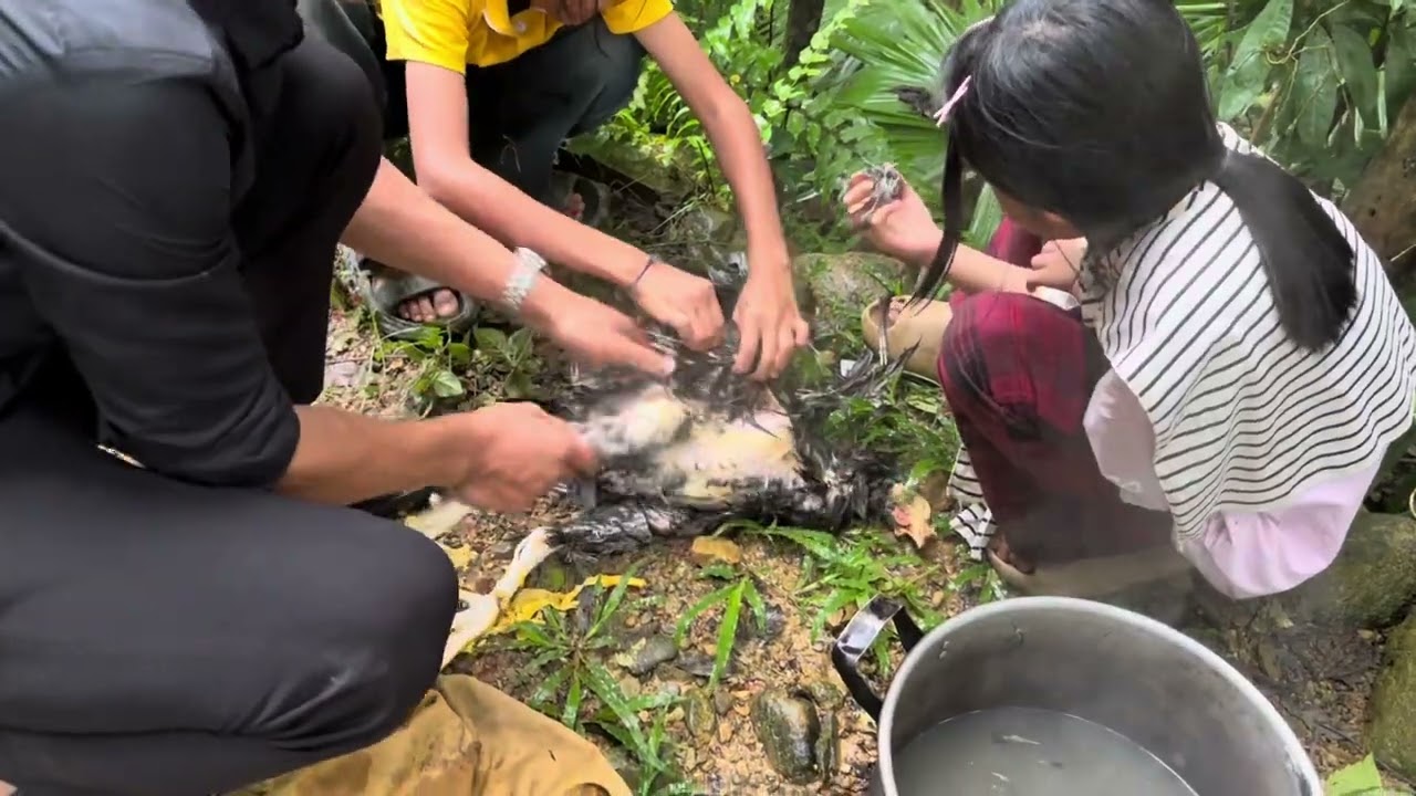 1 chuyến đi thăm bố mẹ vợ của mình và phong tục làm vía đi đường khi có trẻ con đi cùng 