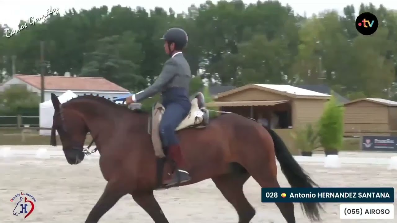 Antonio Hernández Santana & Airoso P  Doma