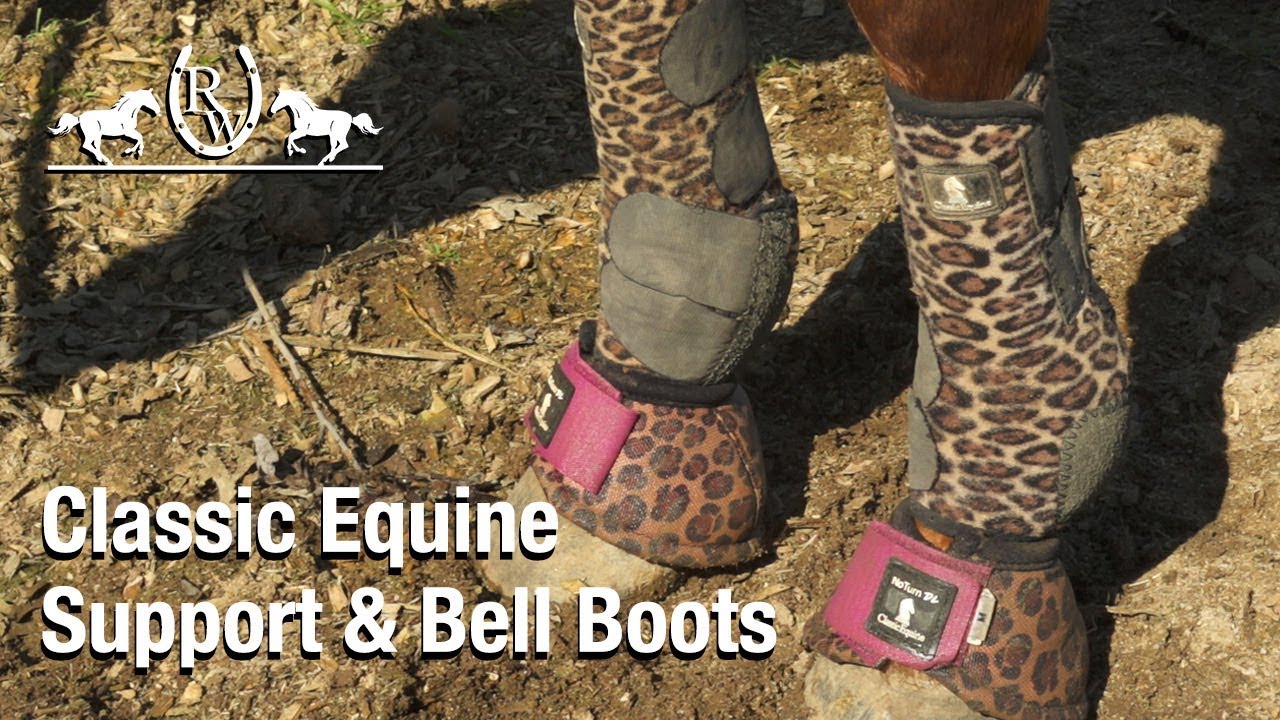 RW Review: Classic Equine Legacy2 Support & Bell Boots
