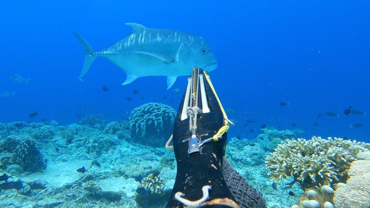 Amukan Monster Giant Trevally Penghuni Laut Banda Menyeret Saya Kelaut Dalam