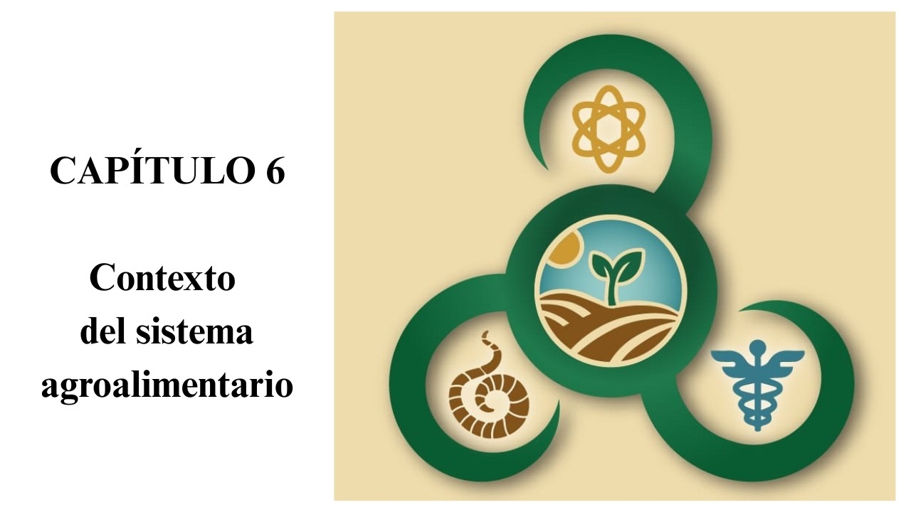 ECOLOGÍA +ENERGÍA + AGRICULTURA + ECONOMÍA  Capítulo6: Contexto del sistema agroalimentario