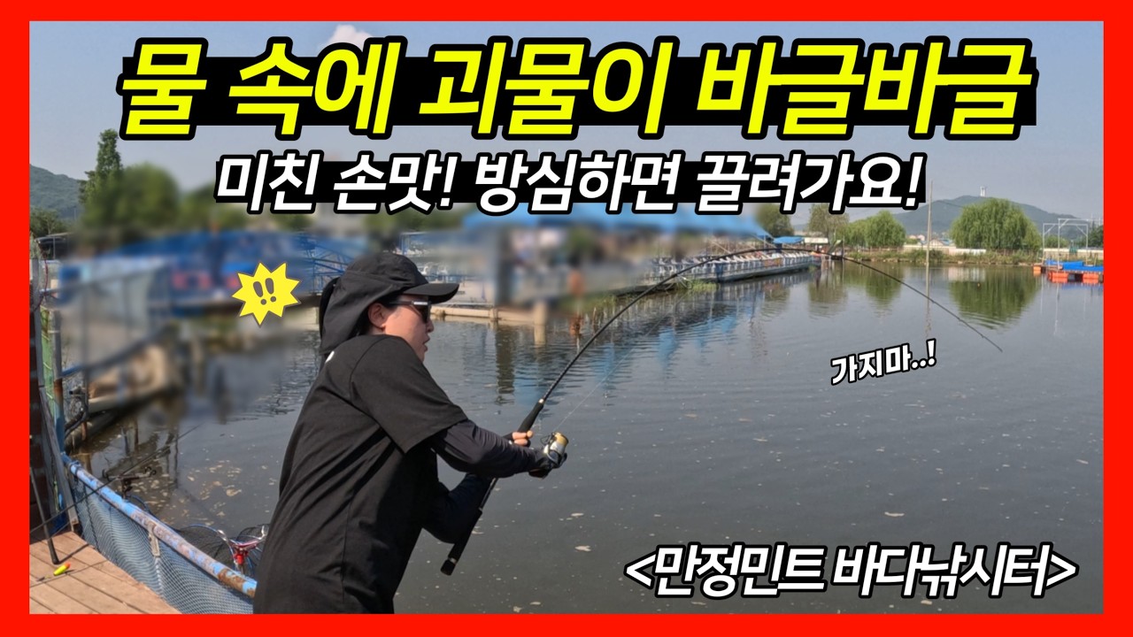 너무더워?🔥 오히려 좋아! 더우면 이녀석들이 마구나와요!🔥 [만정민트, 바다낚시, 자바리낚시, 홍돔낚시, 돌돔낚시]