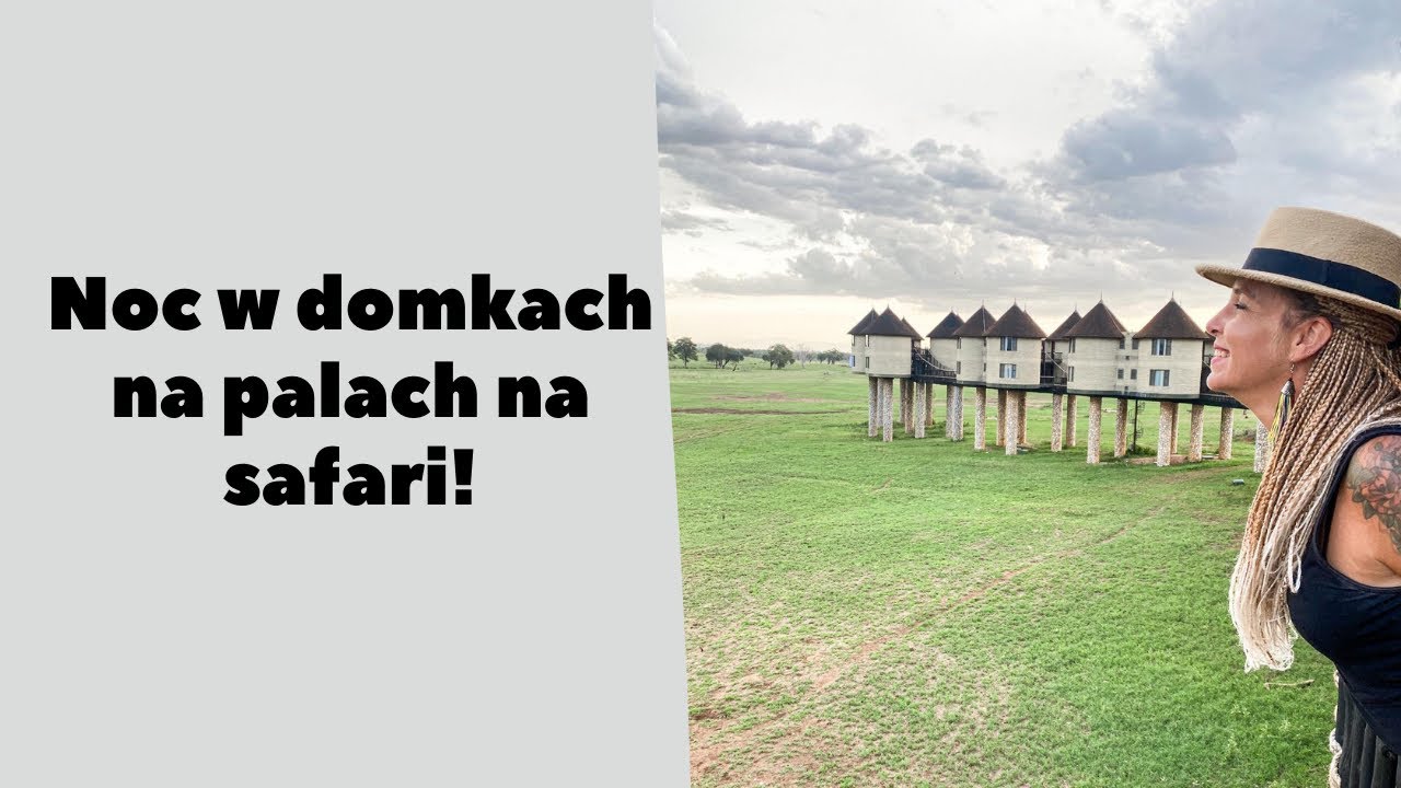 Salt lick - czyli domy na palach w środku safari ❤️