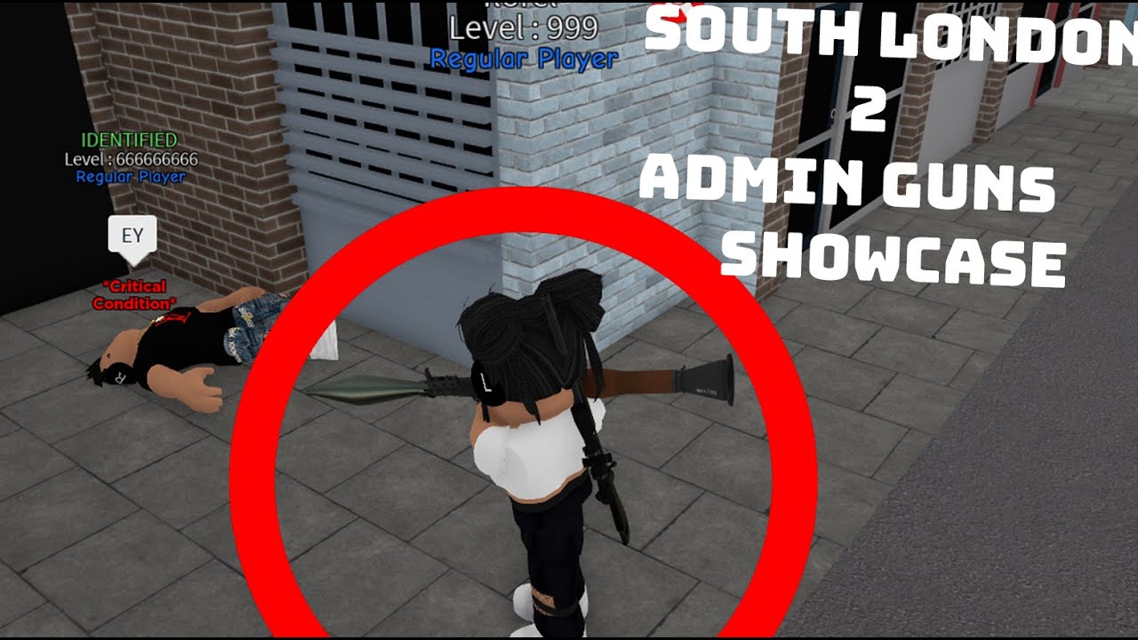 Showcasing + Using Admin Guns | SL2