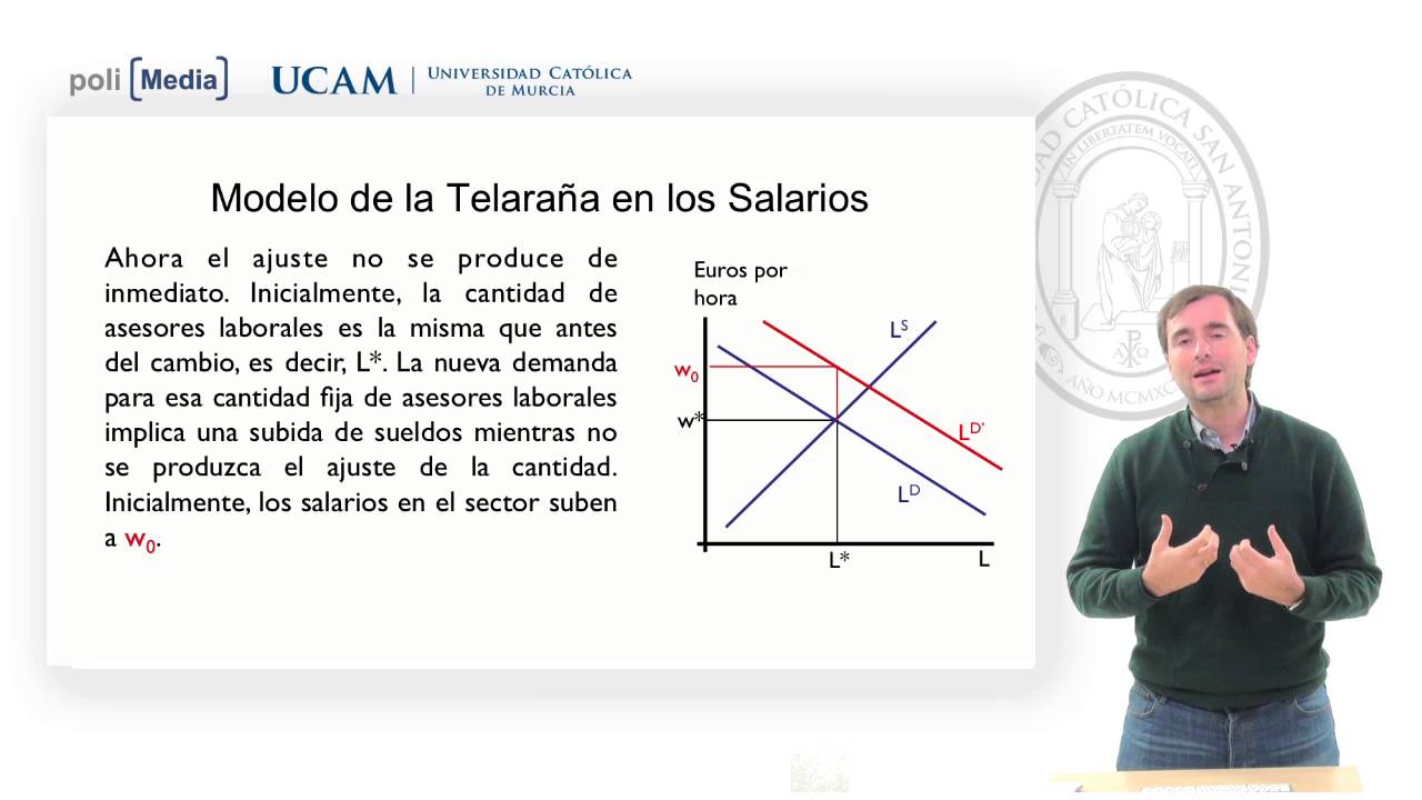 Economía del trabajo - El Modelo de la telaraña en el mercado de trabajo - Alfonso Rosa