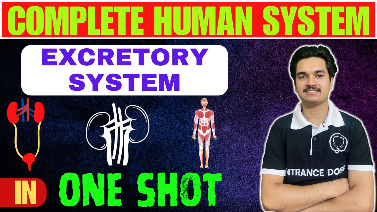 EXCRETORY System in One Shot For CEE / 12 Class | Detail Concept with MCQS🔥