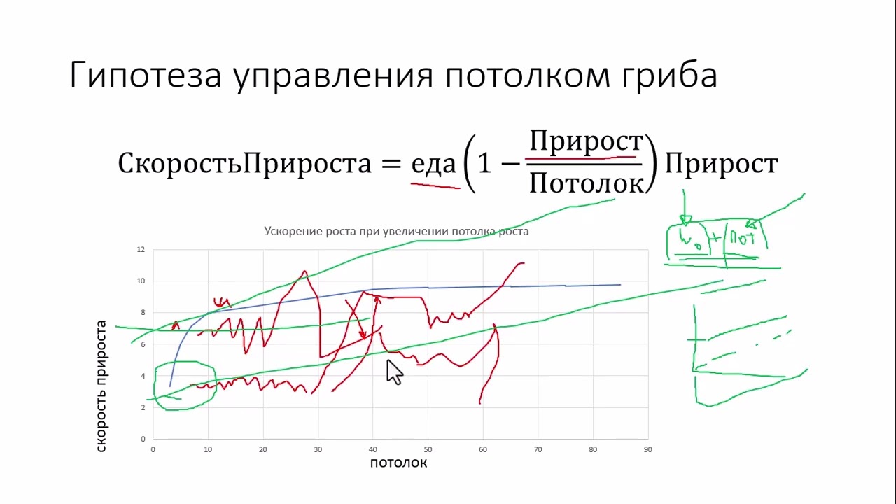 Грибная сукцессия : арбускулярная в экто - микоризу, луг -  в лес и ельник