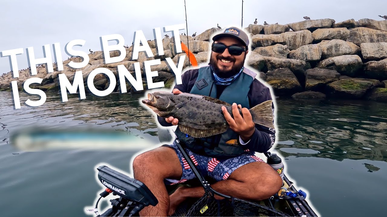 The BEST bait for fishing SoCal Marinas!…