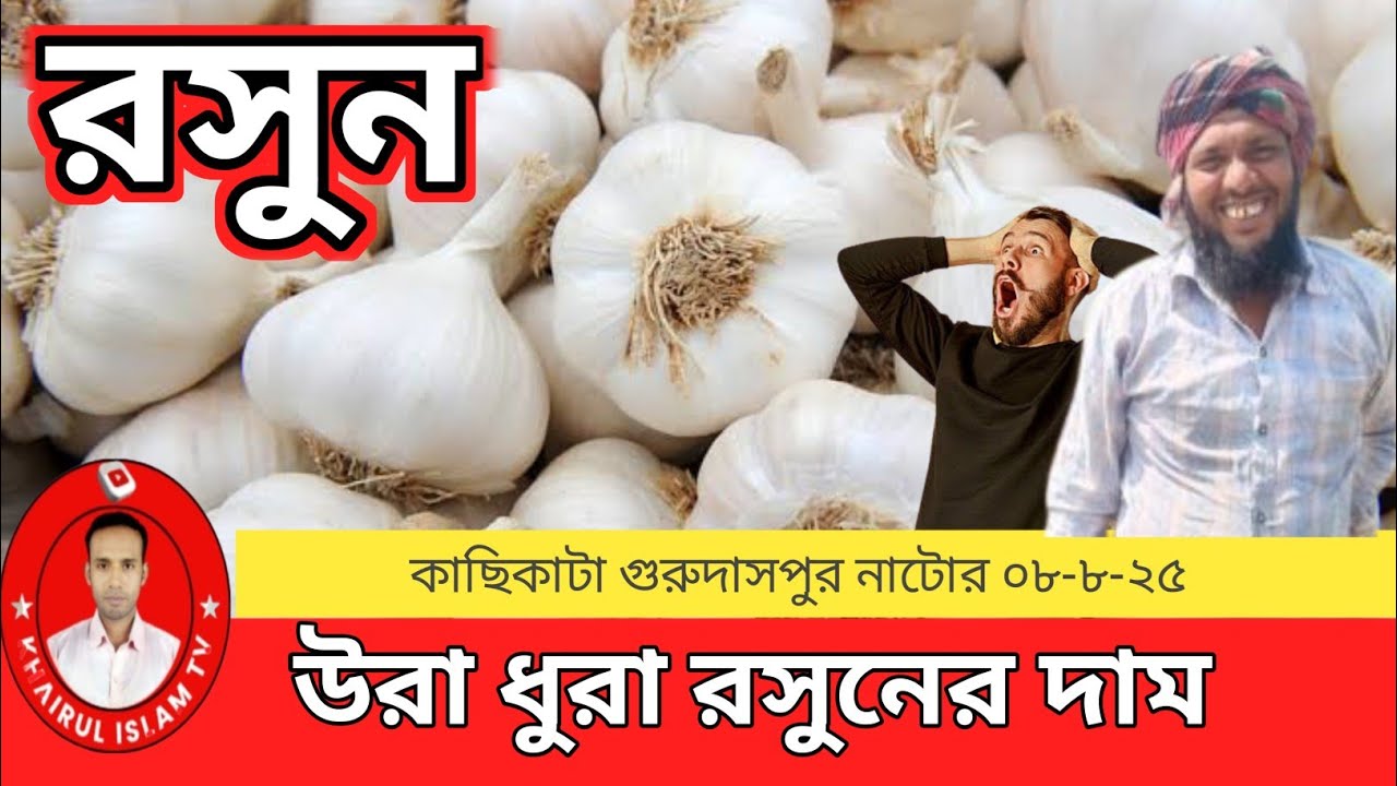 আজকের রসুনের বাজার দর 🔥 ০৮-০৮-২৫ | কাছিকাটা হাট, গুরুদাসপুর নাটোর | Garlic Price Today Bangladesh