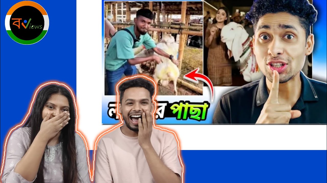 Indian Reaction On | গরুর হাটে মামুন-লায়লা | meme review | Osthir Bangali | Funny Facts