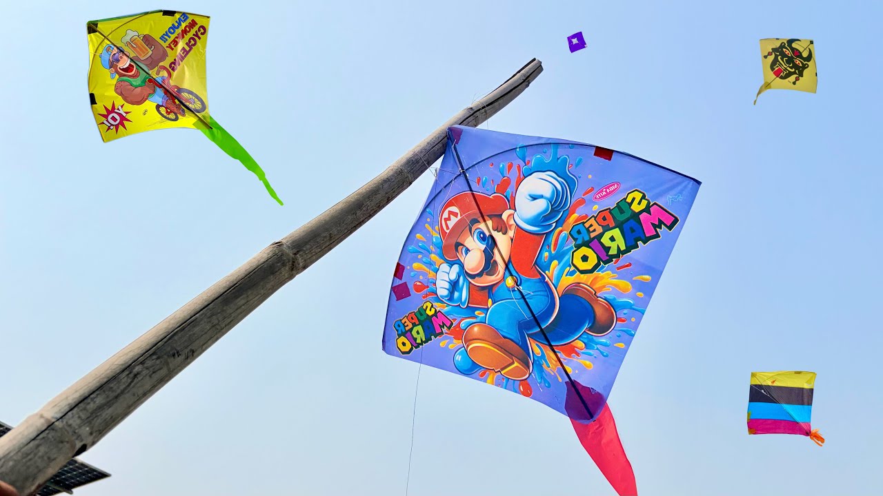 Catching And Looting Kites On Rooftop | Caught Kites | Kite