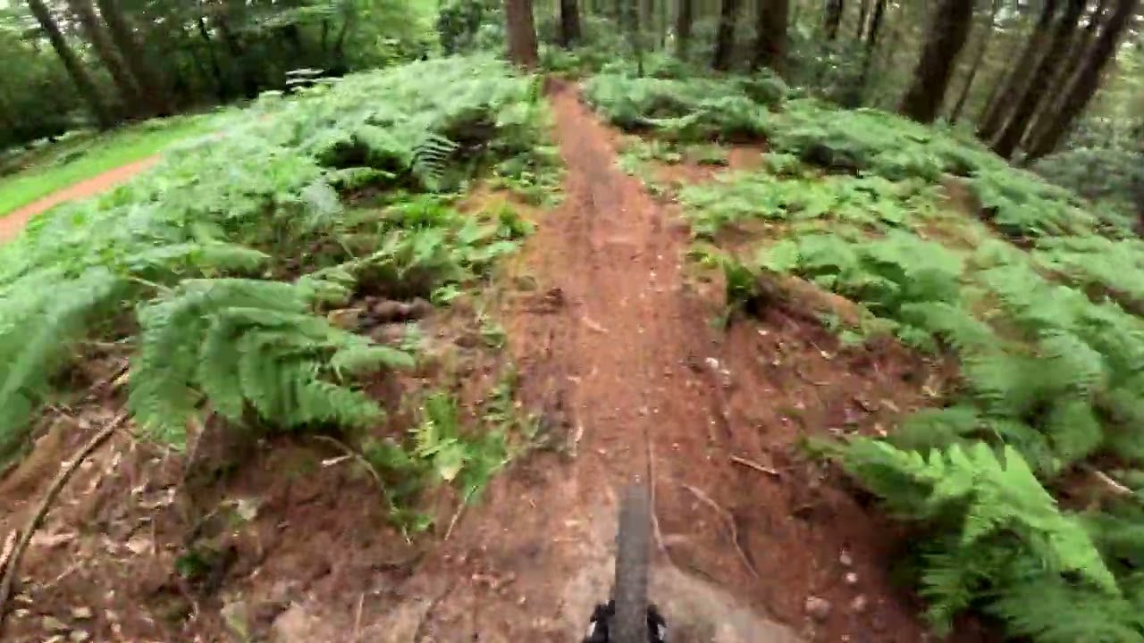 'Spannered' - Redlands / Surrey Hills Mtb