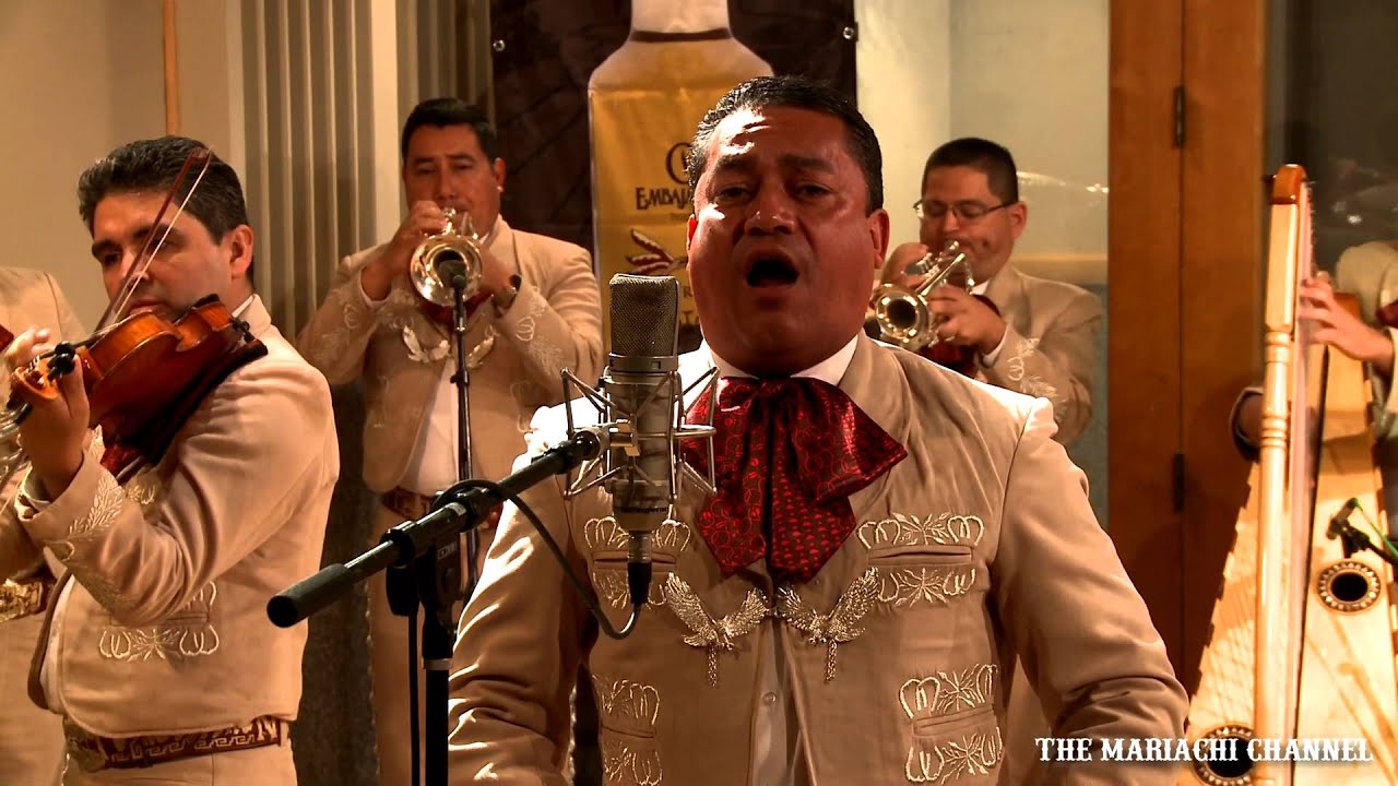 FALLASTE CORAZON | MARIACHI NUEVO TECALITLAN | VIDEO OFICIAL