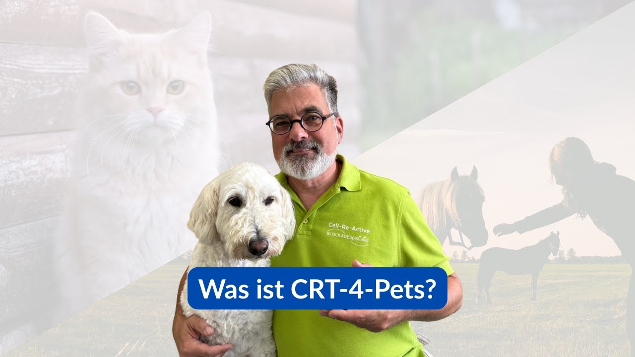 Was ist Cell-Re-Active Training-4-Pets?