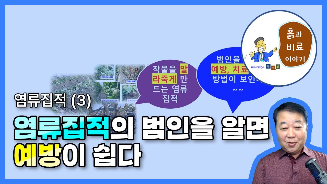 염류집적을 일으키는 비료와 안 일으키는 비료 - 염류집적(3)